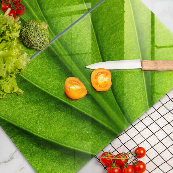 Főzőlap védő üveglap Természet ér levél