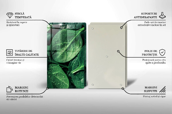 Főzőlap védő üveglap Bazsalikom