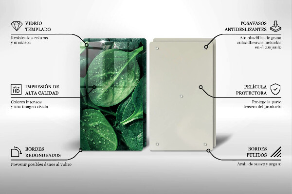 Főzőlap védő üveglap Bazsalikom