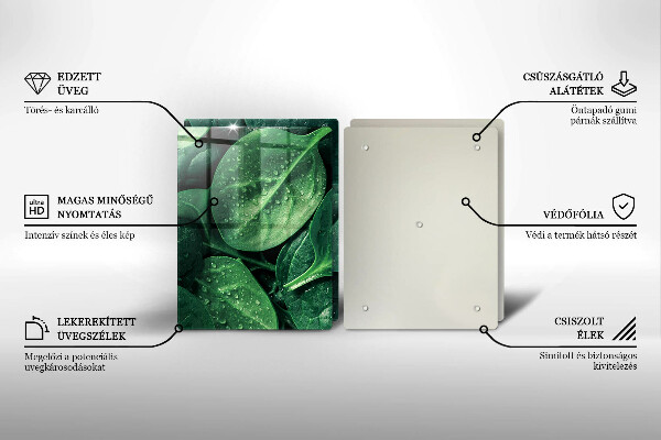 Főzőlap védő üveglap Bazsalikom