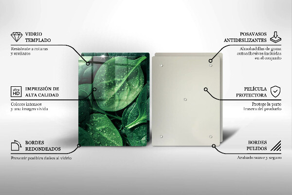 Főzőlap védő üveglap Bazsalikom