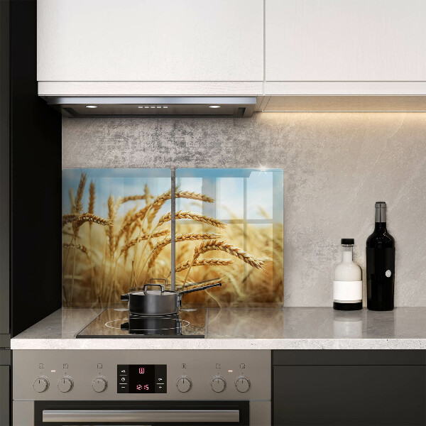 Főzőlap védő üveglap Kalász gabonafélék a területen