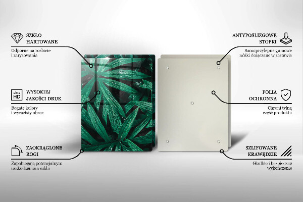 Főzőlap védő üveglap Növények levelei