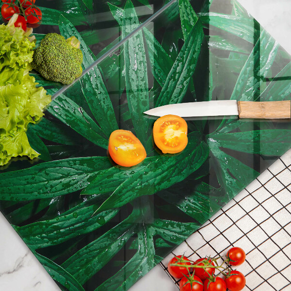 Főzőlap védő üveglap Növények levelei