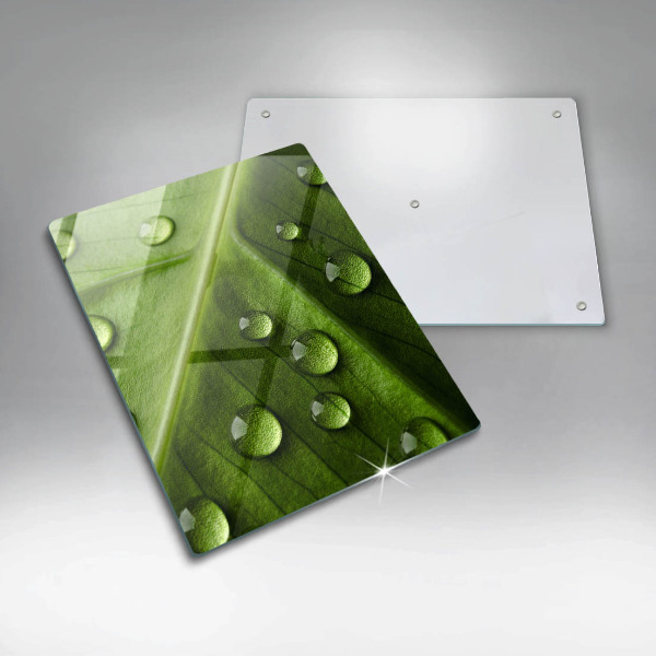 Tűzhely fedőlap Természet harmat és levél