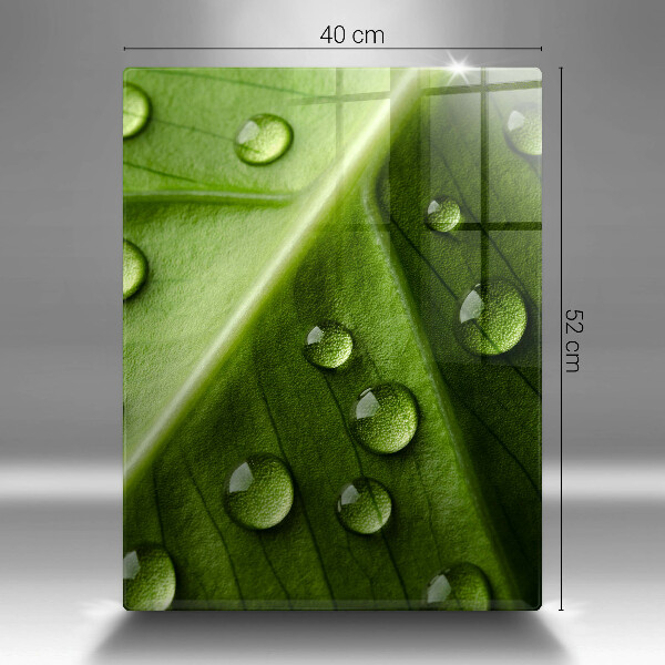 Tűzhely fedőlap Természet harmat és levél