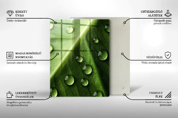 Tűzhely fedőlap Természet harmat és levél