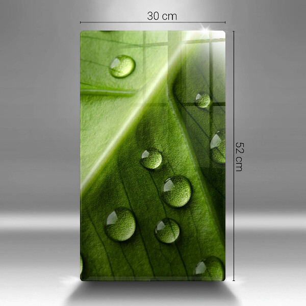 Tűzhely fedőlap Természet harmat és levél