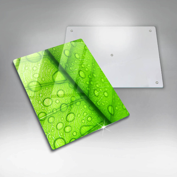 Tűzhely fedőlap Közeli kép egy levélről