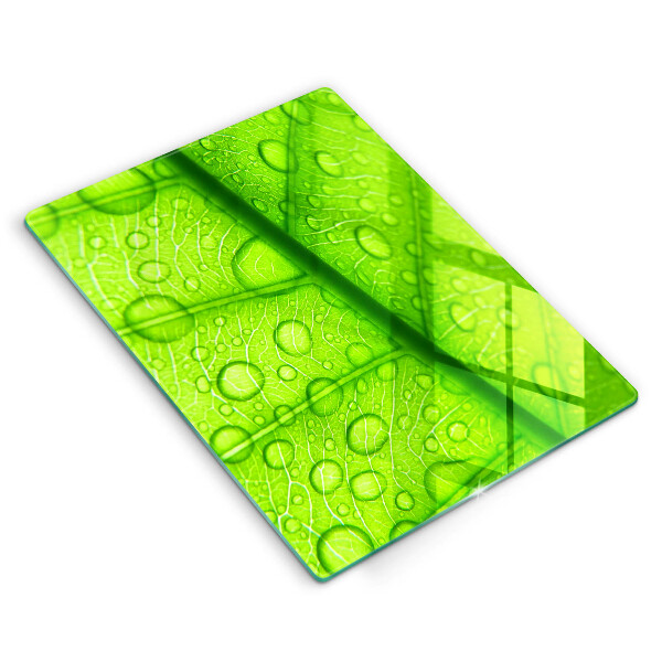 Tűzhely fedőlap Közeli kép egy levélről