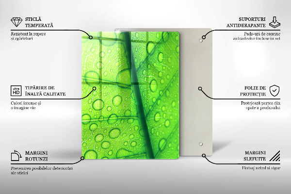 Tűzhely fedőlap Közeli kép egy levélről