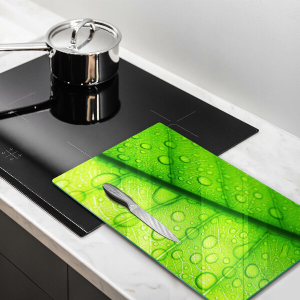 Tűzhely fedőlap Közeli kép egy levélről