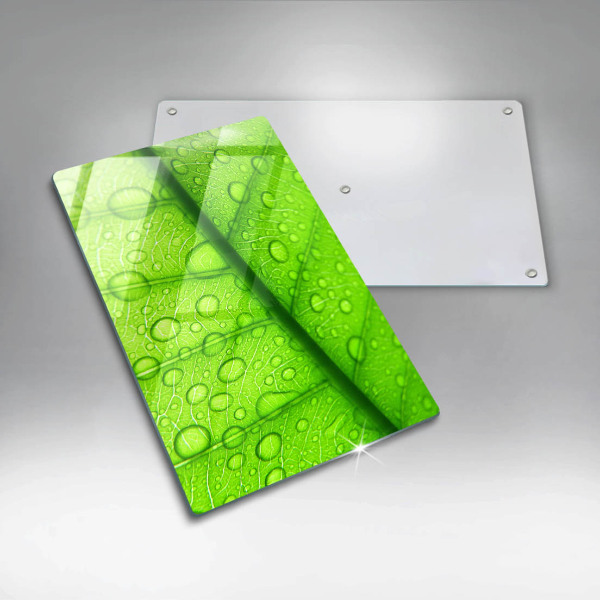 Tűzhely fedőlap Közeli kép egy levélről