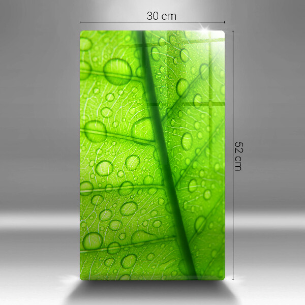 Tűzhely fedőlap Közeli kép egy levélről