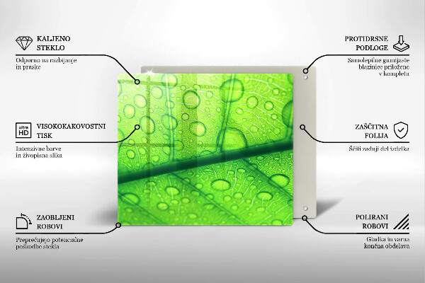 Tűzhelyvédő üveglap Közeli kép egy levélről