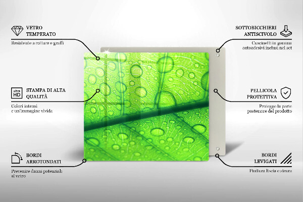 Tűzhelyvédő üveglap Közeli kép egy levélről