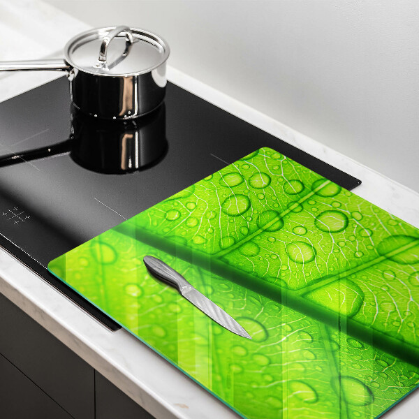 Tűzhelyvédő üveglap Közeli kép egy levélről