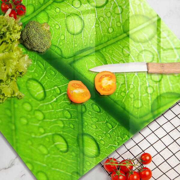 Tűzhelyvédő üveglap Közeli kép egy levélről