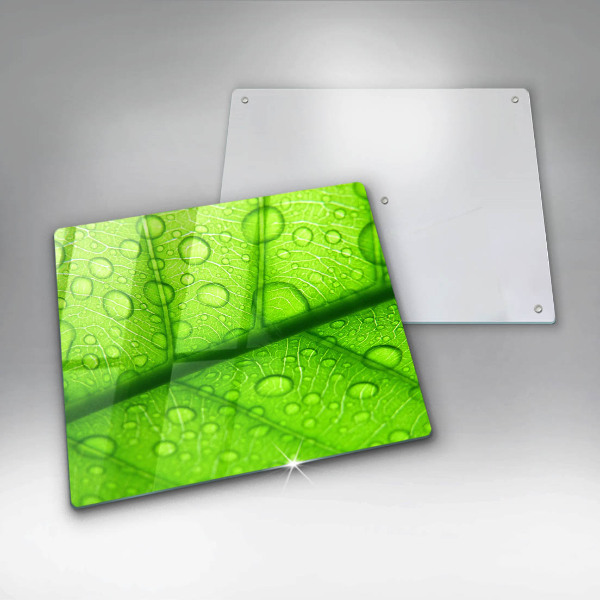 Tűzhelyvédő üveglap Közeli kép egy levélről