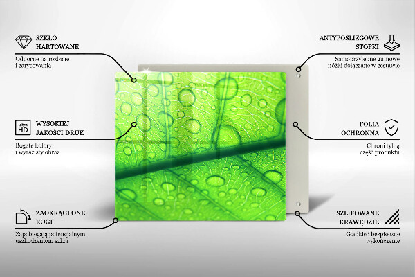 Tűzhelyvédő üveglap Közeli kép egy levélről