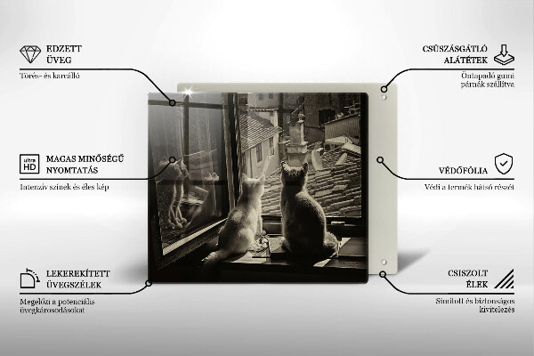 Tűzhelyvédő üveglap Macskák város és ablak