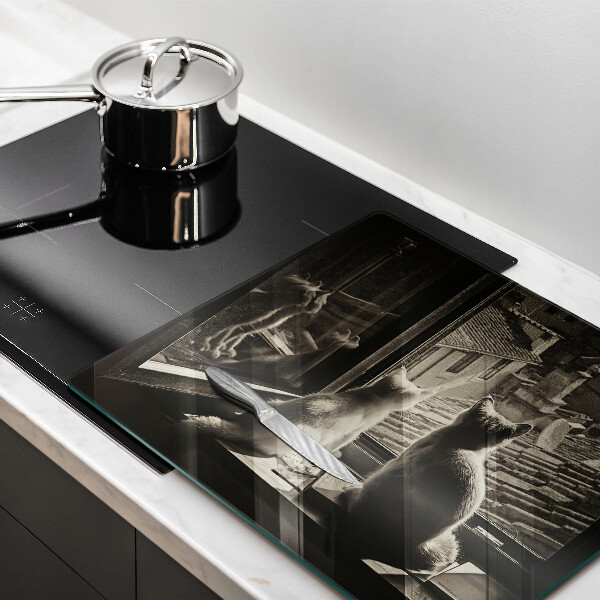 Tűzhelyvédő üveglap Macskák város és ablak