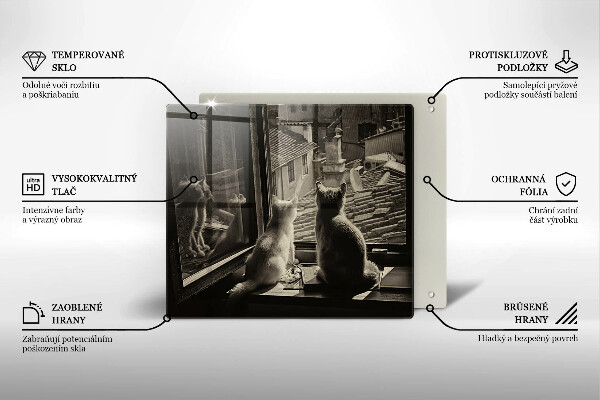 Tűzhelyvédő üveglap Macskák város és ablak