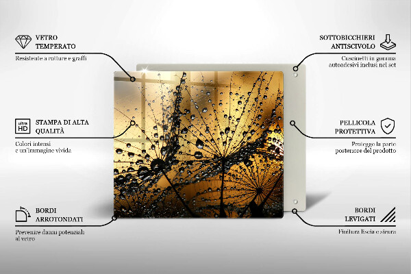 Tűzhelyvédő üveglap Harmat és pitypang
