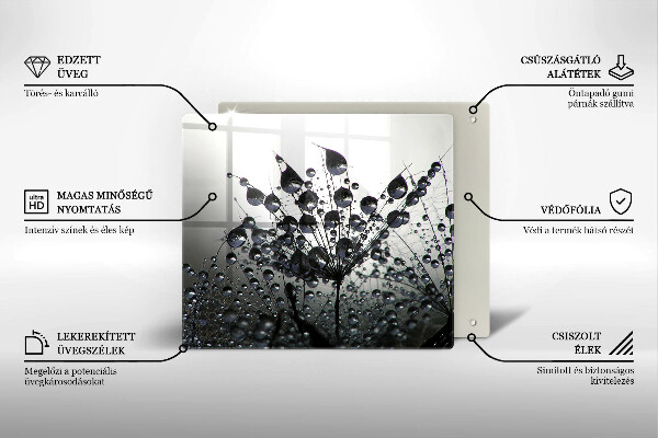 Tűzhelyvédő üveglap Pitypang és harmat