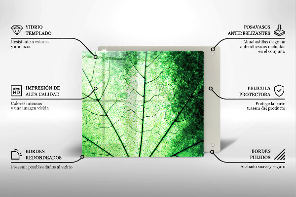Tűzhelyvédő üveglap Dekoratív érlevél