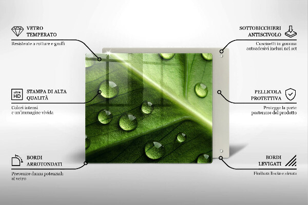 Tűzhelyvédő üveglap Természet harmat és levél