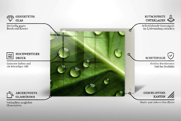 Tűzhelyvédő üveglap Természet harmat és levél