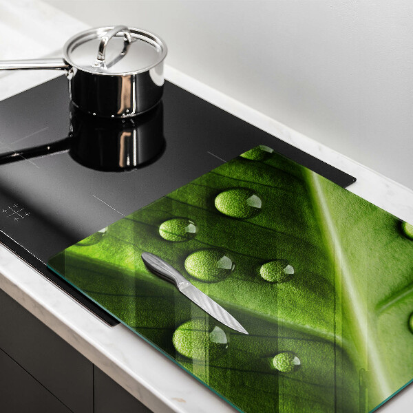 Tűzhelyvédő üveglap Természet harmat és levél