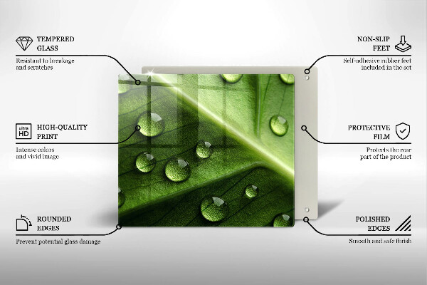 Tűzhelyvédő üveglap Természet harmat és levél