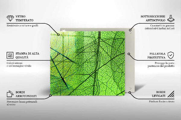 Tűzhelyvédő üveglap Természetes levélerek