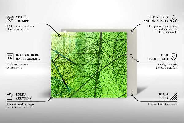 Tűzhelyvédő üveglap Természetes levélerek