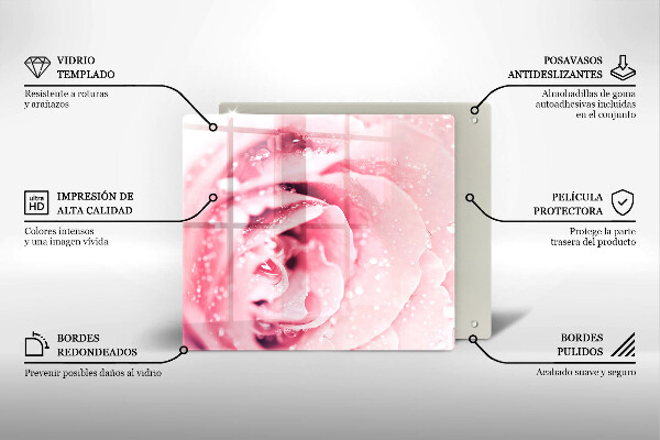 Tűzhelyvédő üveglap Harmatcseppek és rózsavirág