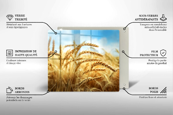 Tűzhelyvédő üveglap Kalász gabonafélék a területen
