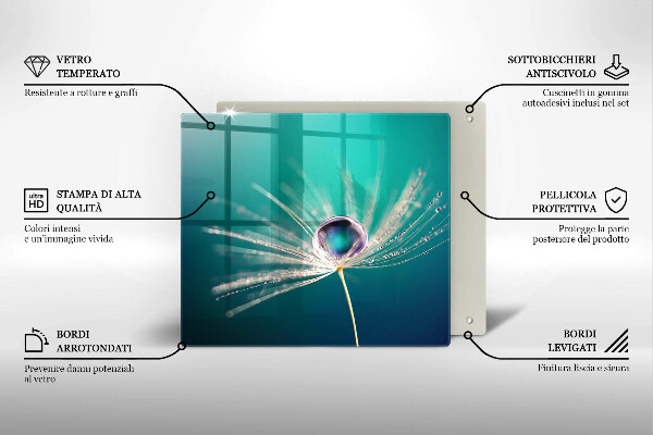 Tűzhelyvédő üveglap Harmat a pitypangon