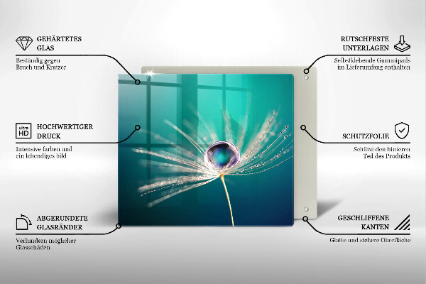 Tűzhelyvédő üveglap Harmat a pitypangon