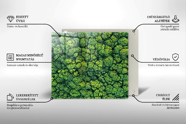 Tűzhelyvédő üveglap Természet moha növény