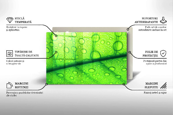 Tűzhelyvédő Közeli kép egy levélről