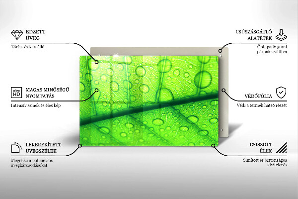 Tűzhelyvédő Közeli kép egy levélről