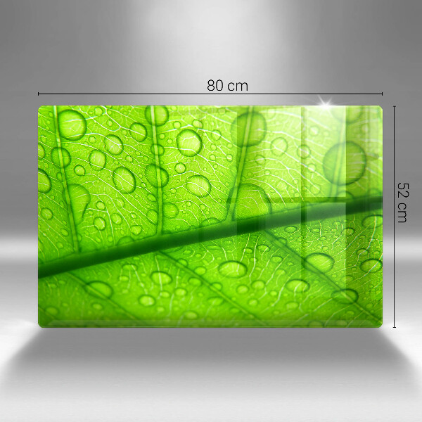 Tűzhelyvédő Közeli kép egy levélről