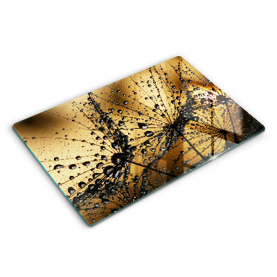 Tűzhelyvédő üveglap Harmat és pitypang