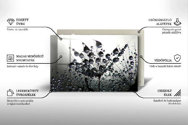 Tűzhelyvédő üveglap Pitypang és harmat