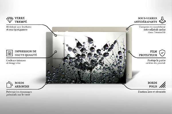 Tűzhelyvédő üveglap Pitypang és harmat