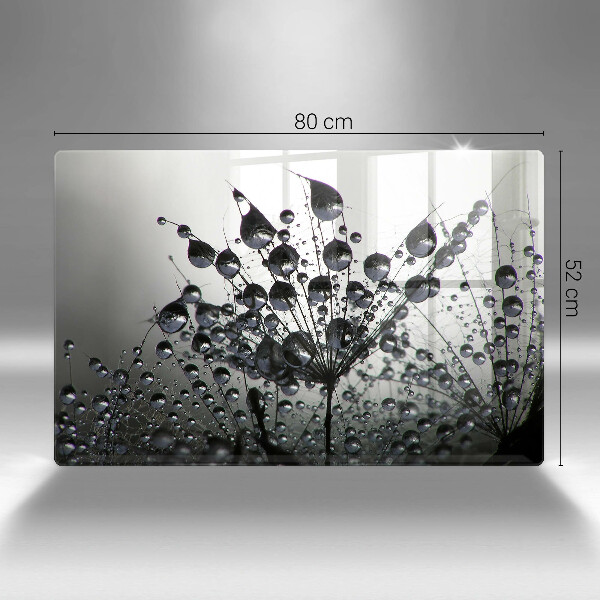 Tűzhelyvédő üveglap Pitypang és harmat