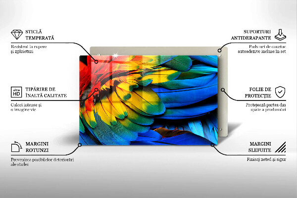 Főzőlap védő üveglap Színes papagáj toll