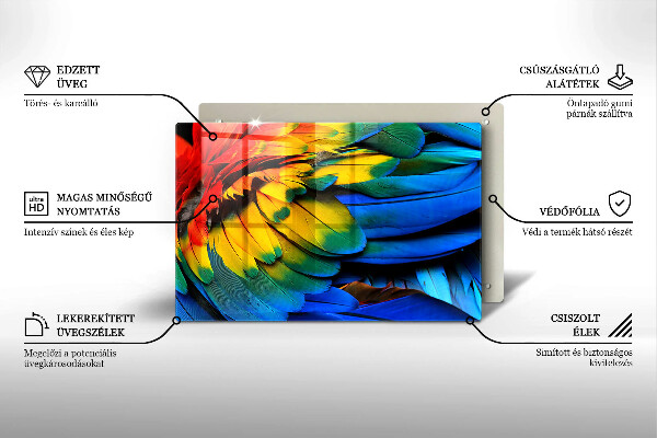Főzőlap védő üveglap Színes papagáj toll